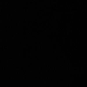 Meet your Posher, Tamia